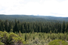 June18 - 46